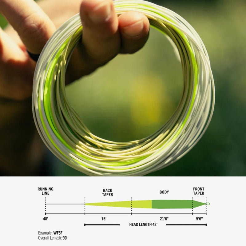 RIO PRODUCTS Elite Gold Fly Line, Easy to Cast Flies from Size 2 to 22, Ultimate All-Around Fly Line with Ultra-Slick Performance, Moss/Gold/Gray, 90ft, WF6F - Image 2